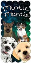 MintieMontie