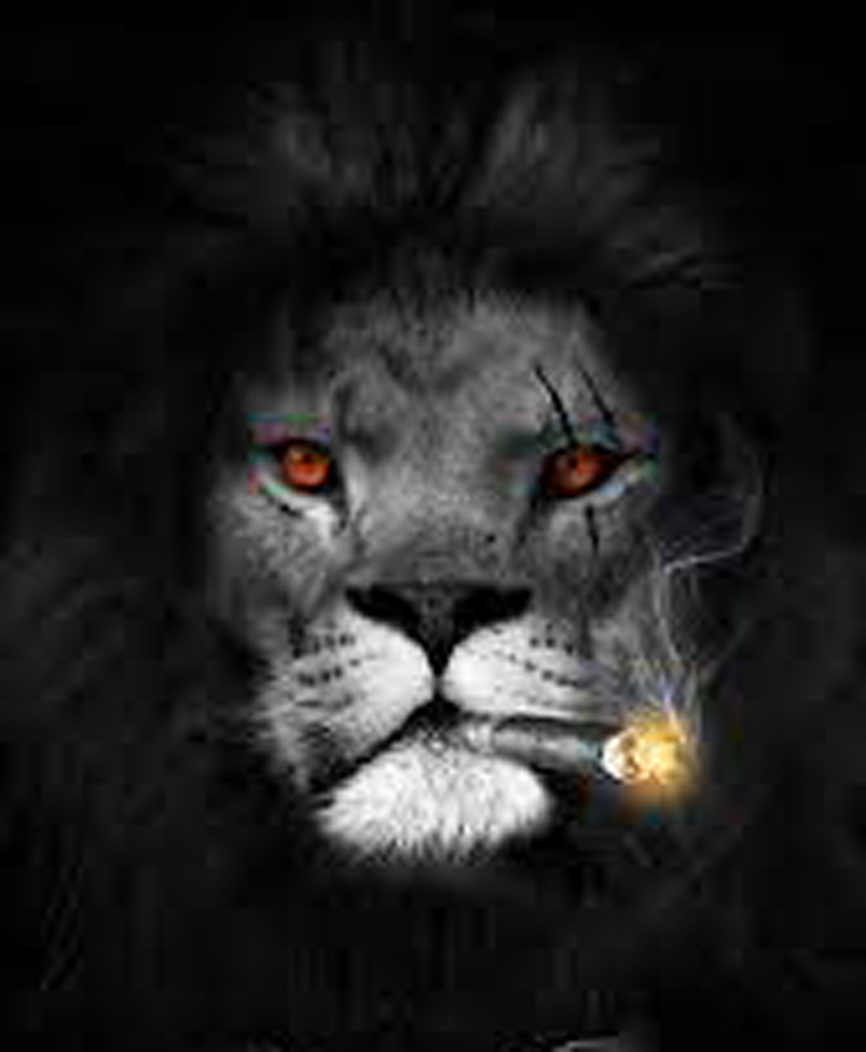 design 125's profile picture