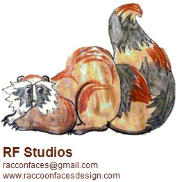 Raccoon Faces Design Studio's profile picture