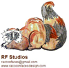 Raccoon Faces Design Studio
