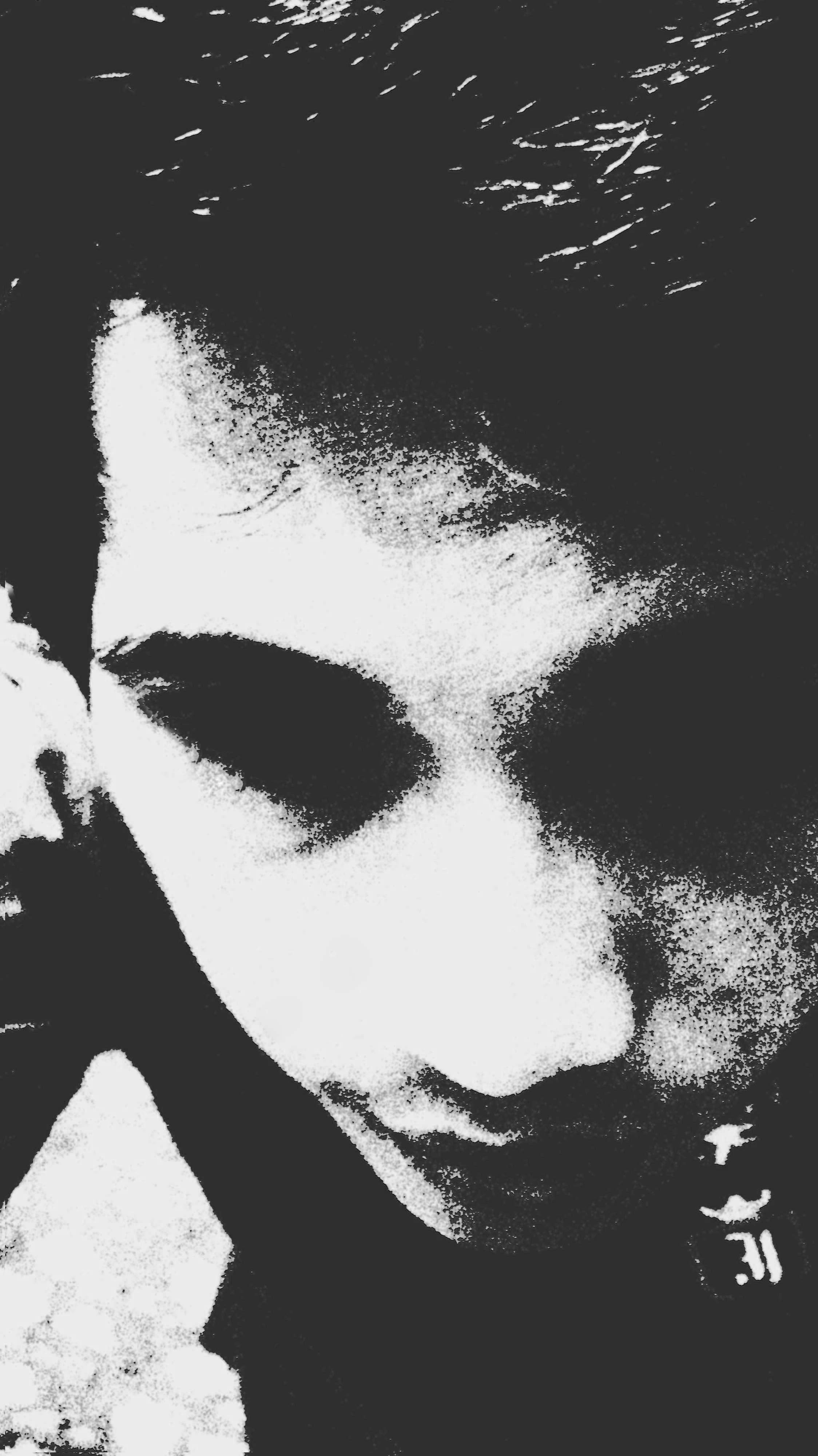 ipDesigns's profile picture