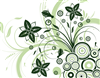 Rasika Graphics