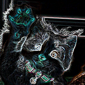ucuame's profile picture
