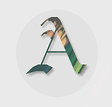 Ailbhe's profile picture
