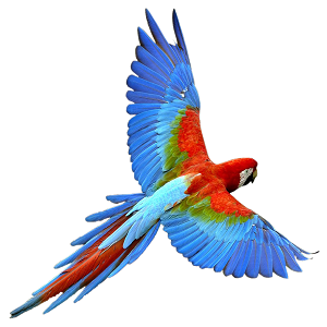 vinod solanki's profile picture