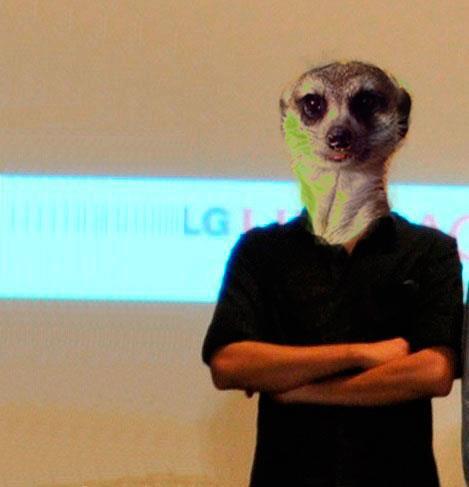 Pablo Soto's profile picture