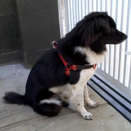 kasep's profile picture