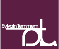 Sylvain Temmem's profile picture