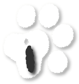 Instincx.com's profile picture
