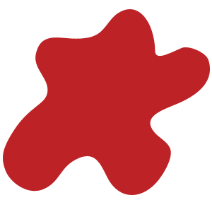 Mr Designer's profile picture