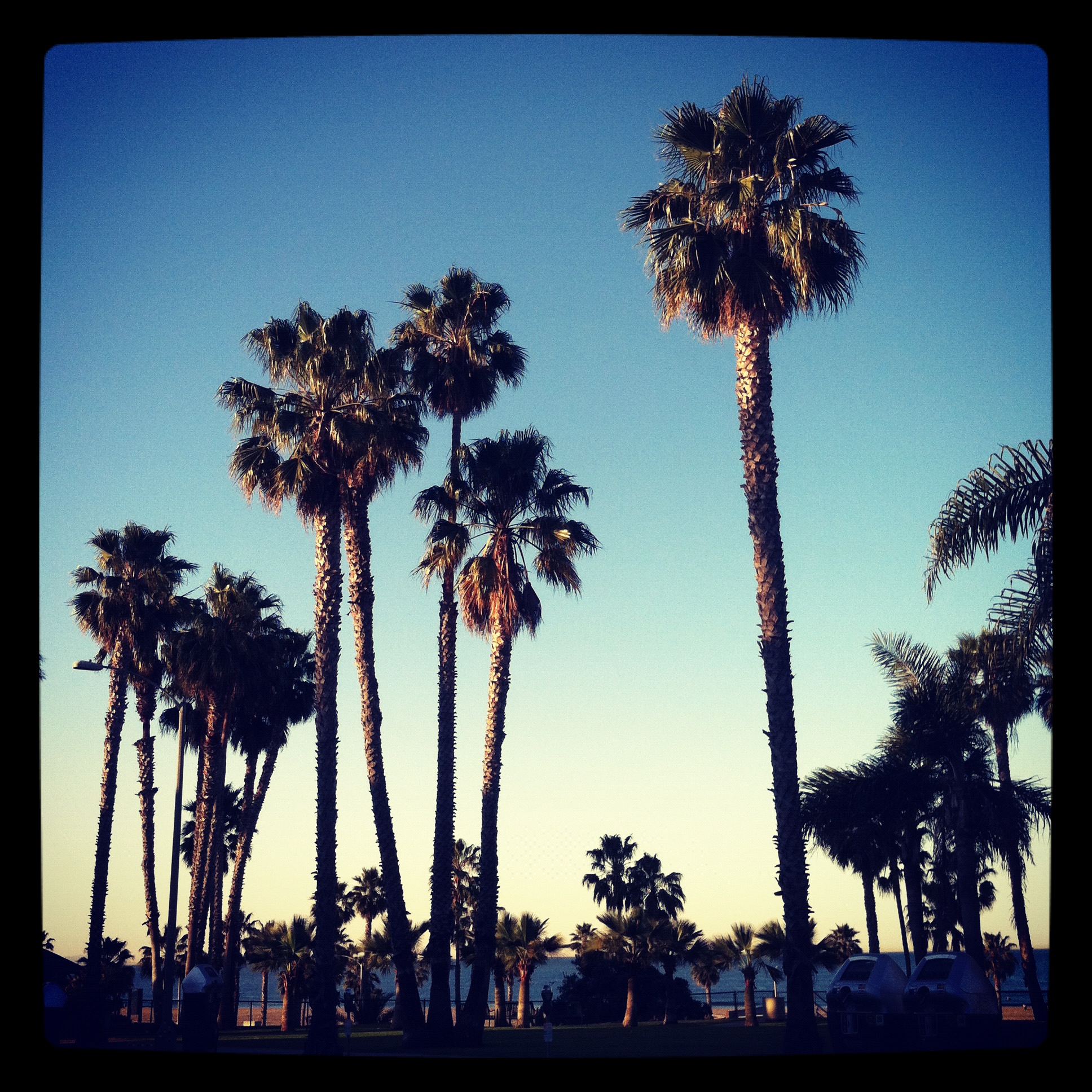  igla's profile picture