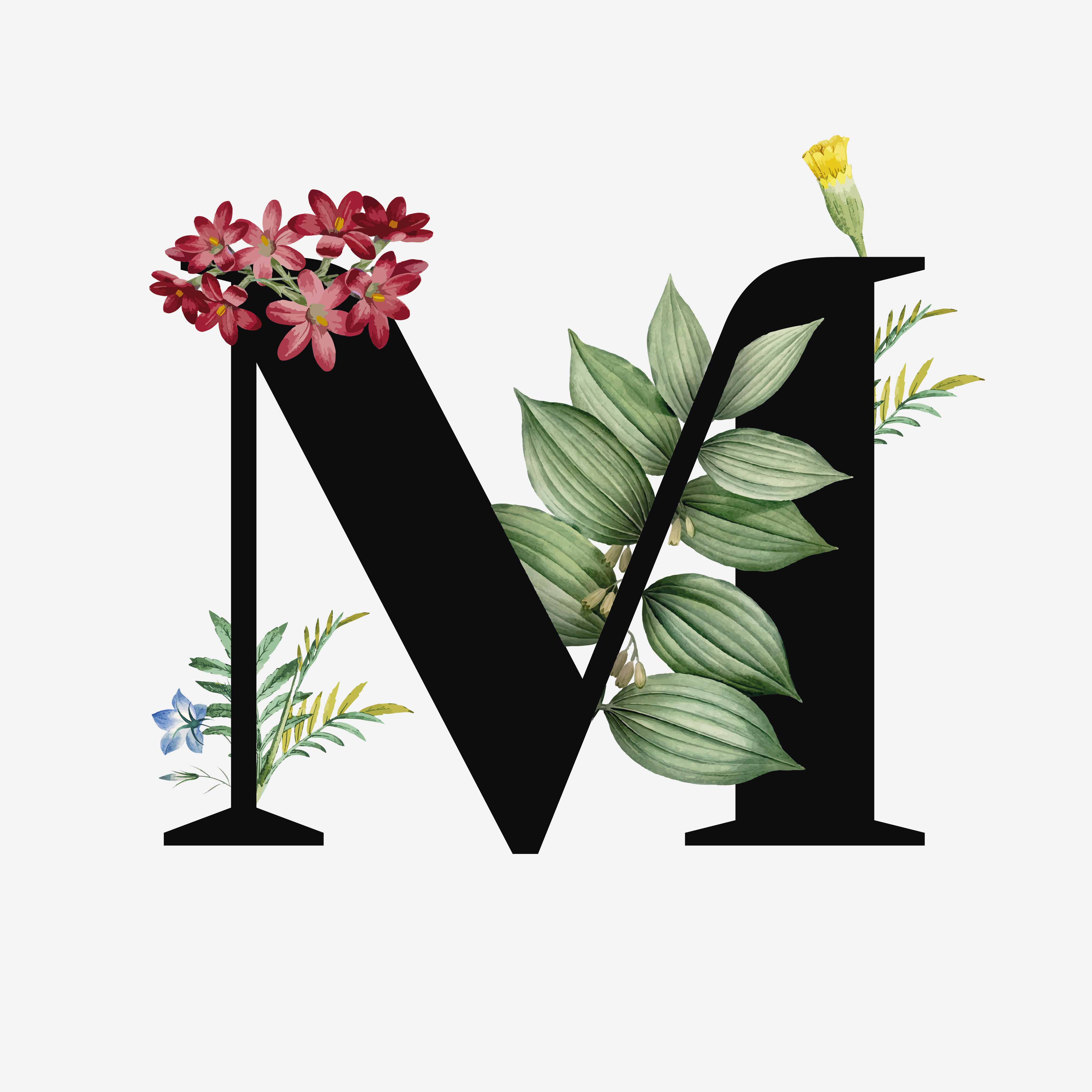 mireiafr's profile picture