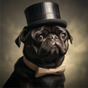 MrPug