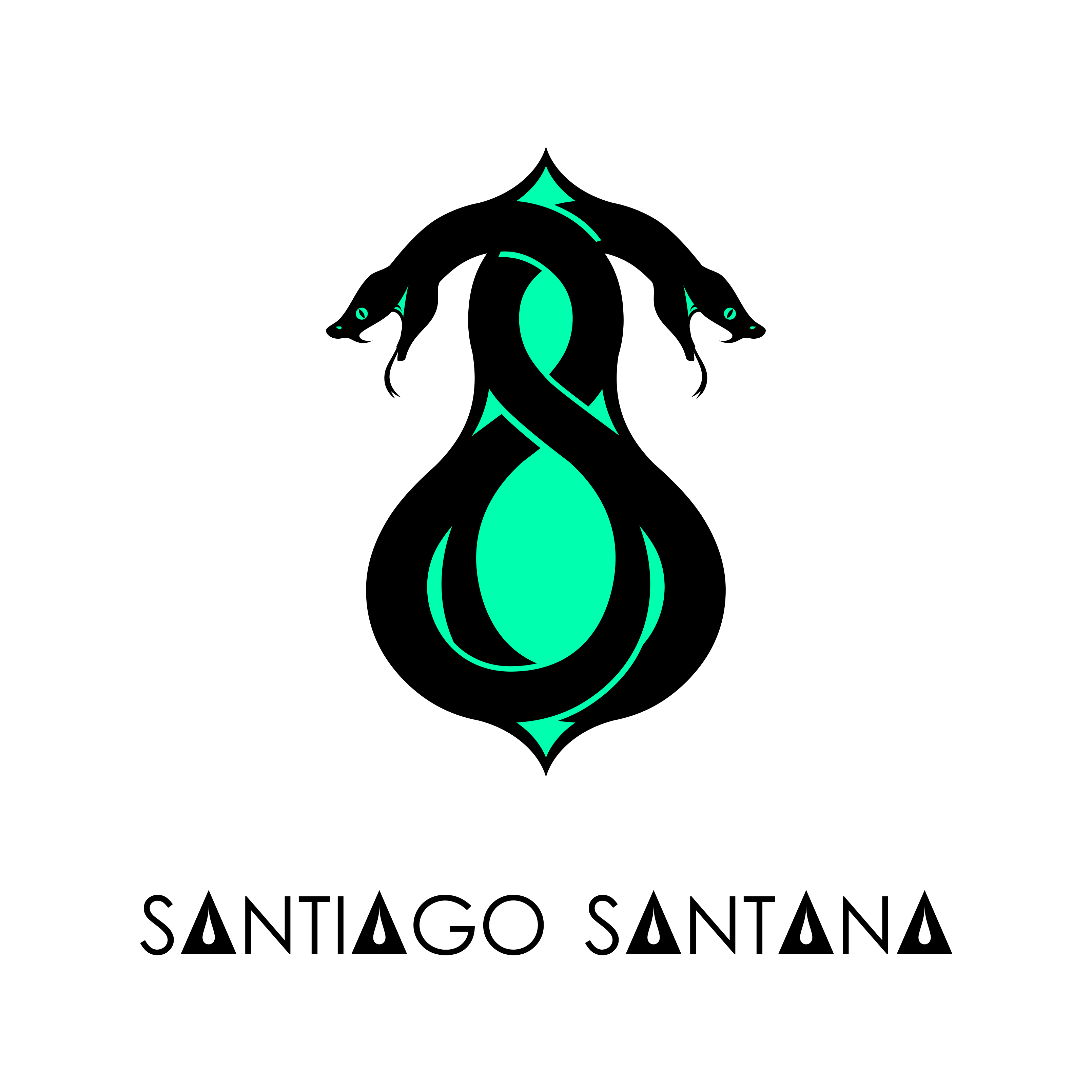 Santiago S.'s profile picture