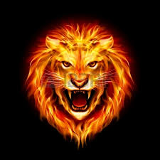 wings's profile picture