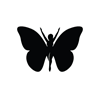 Old Designer