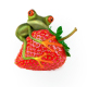 Redberryfrog .com