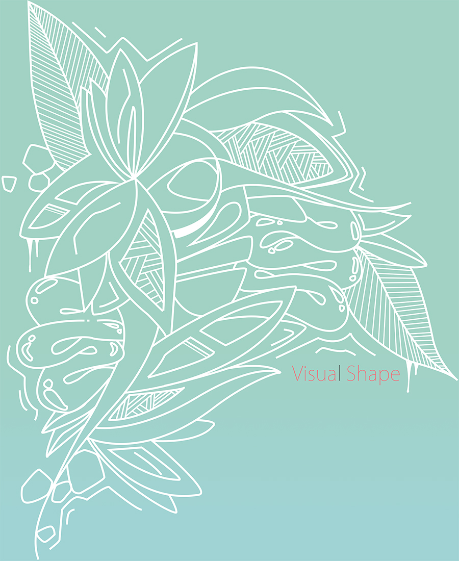 Visual Shape Studios's profile picture