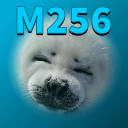Mario256's profile picture