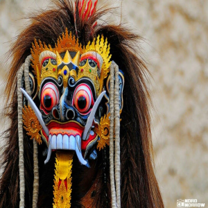 LAMPUNGTENGAH's profile picture