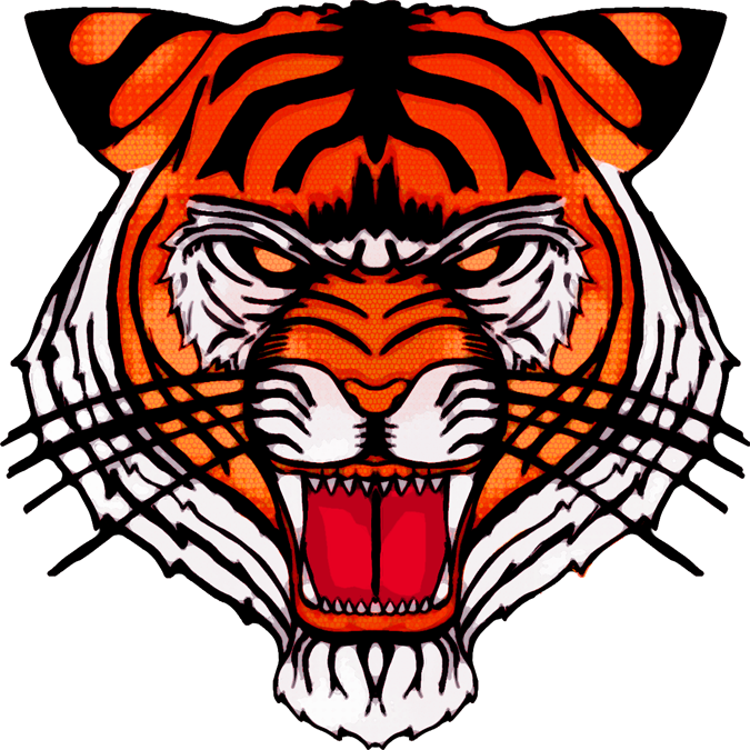 earfunsyah's profile picture