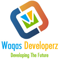 Waqasdeveloperz's profile picture