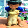 cokhayam