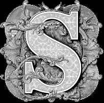 SUNNY_DYNAMIC's profile picture