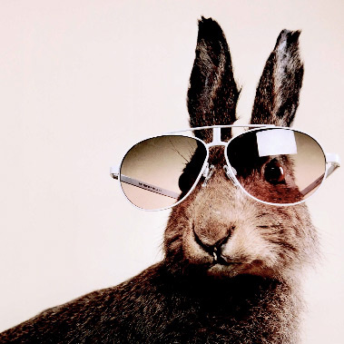 Doubler's profile picture