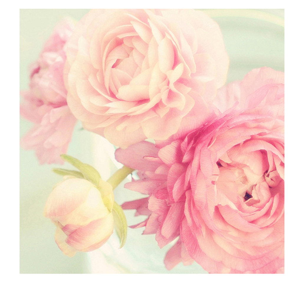 Cherry Pop Design's profile picture