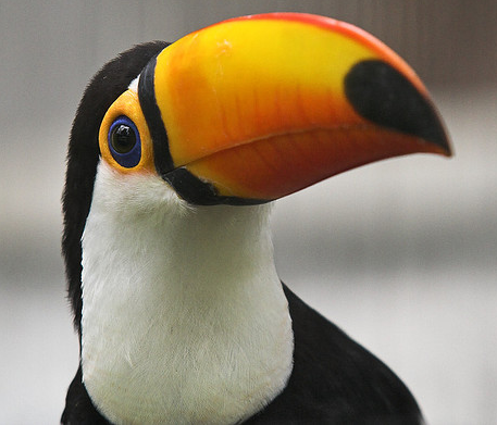 akapotsis's profile picture