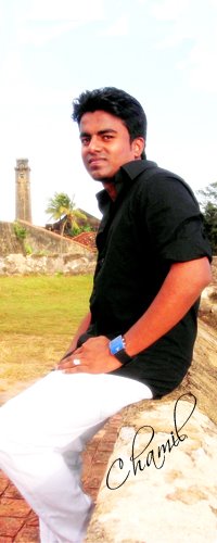Chamil Chathurka Balasooriya's profile picture