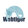 Webtiger Website Design