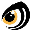 Owl Design
