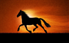 saher