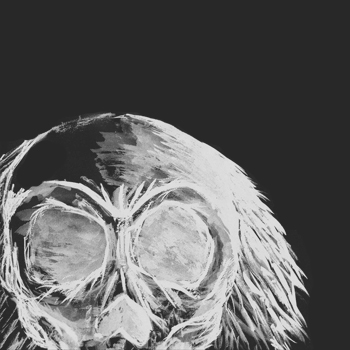 cycoblastart's profile picture