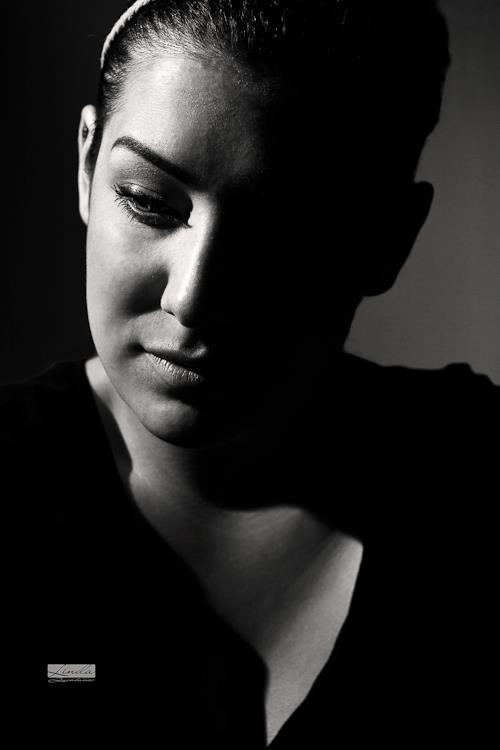 Designophilia's profile picture