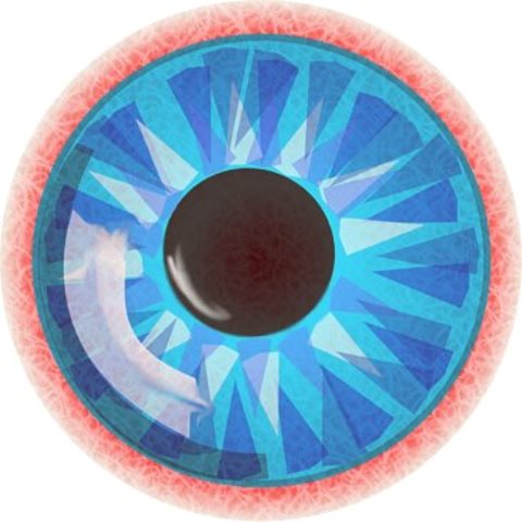 OMAC.design's profile picture