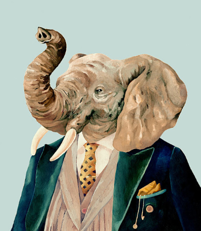 Cass Mezups's profile picture