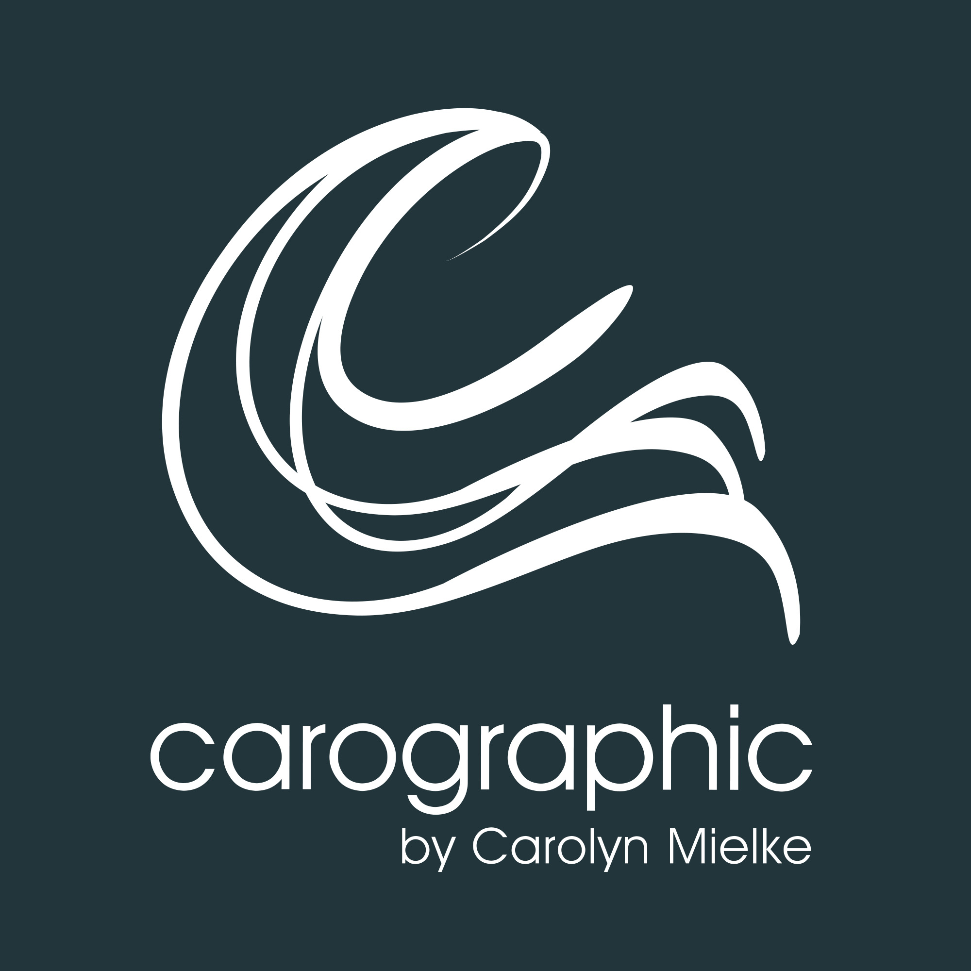 carographic's profile picture