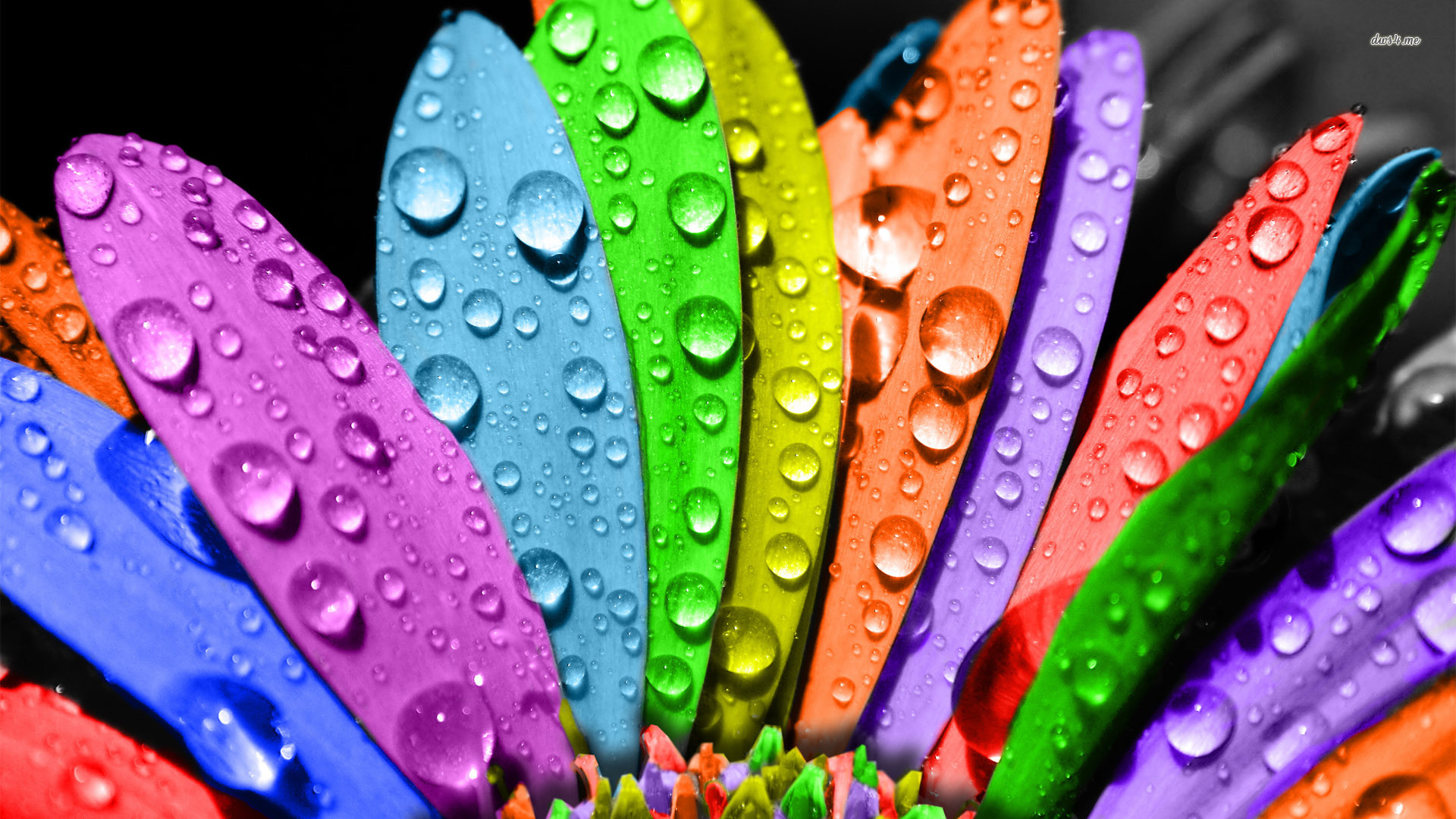 Bks's profile picture