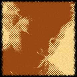 Avi Designs's profile picture