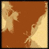 Avi Designs