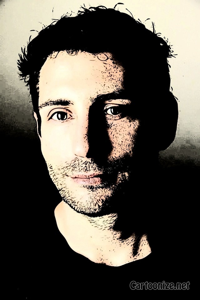 Stolen Bee's profile picture