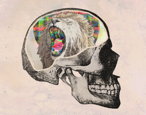 exitmanymind's profile picture