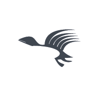 pteroduck's profile picture