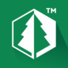 pine design