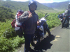 elwindut