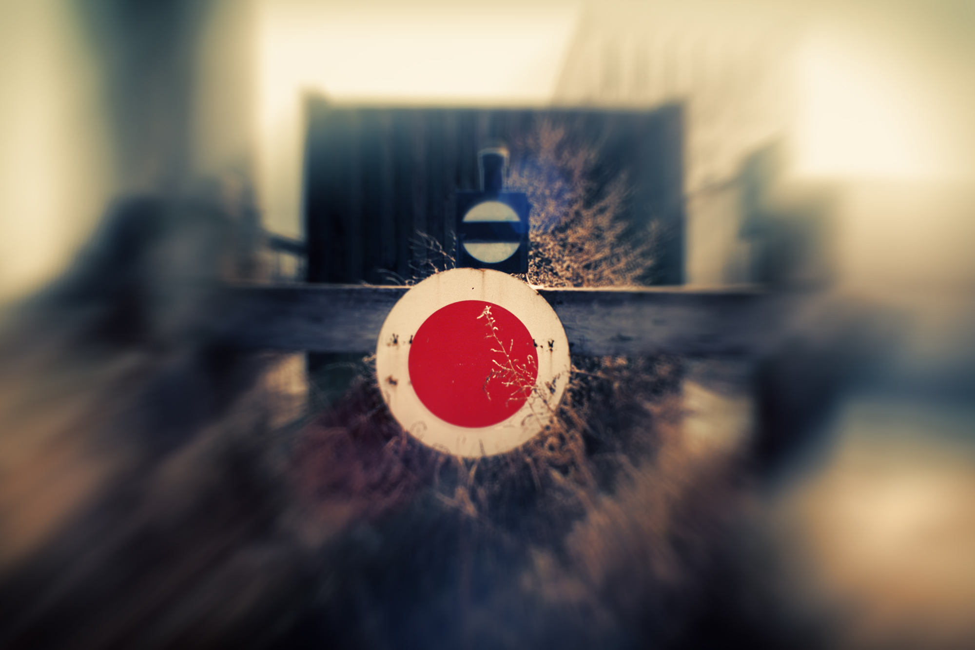 fieldart's profile picture