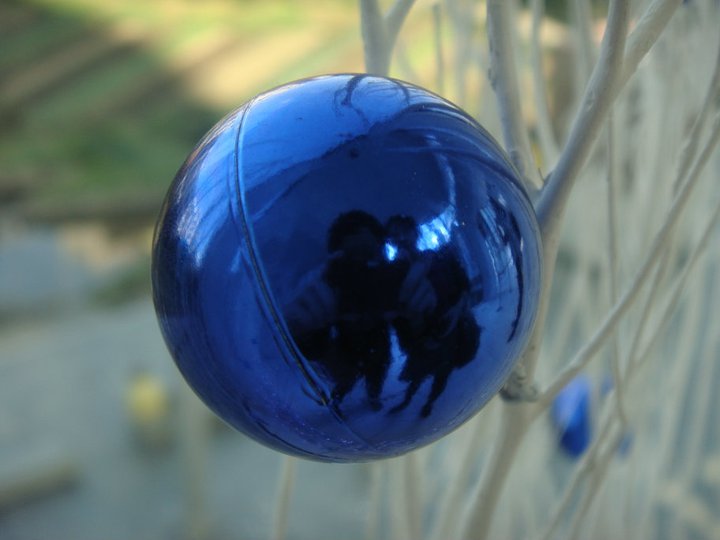 Yana M's profile picture